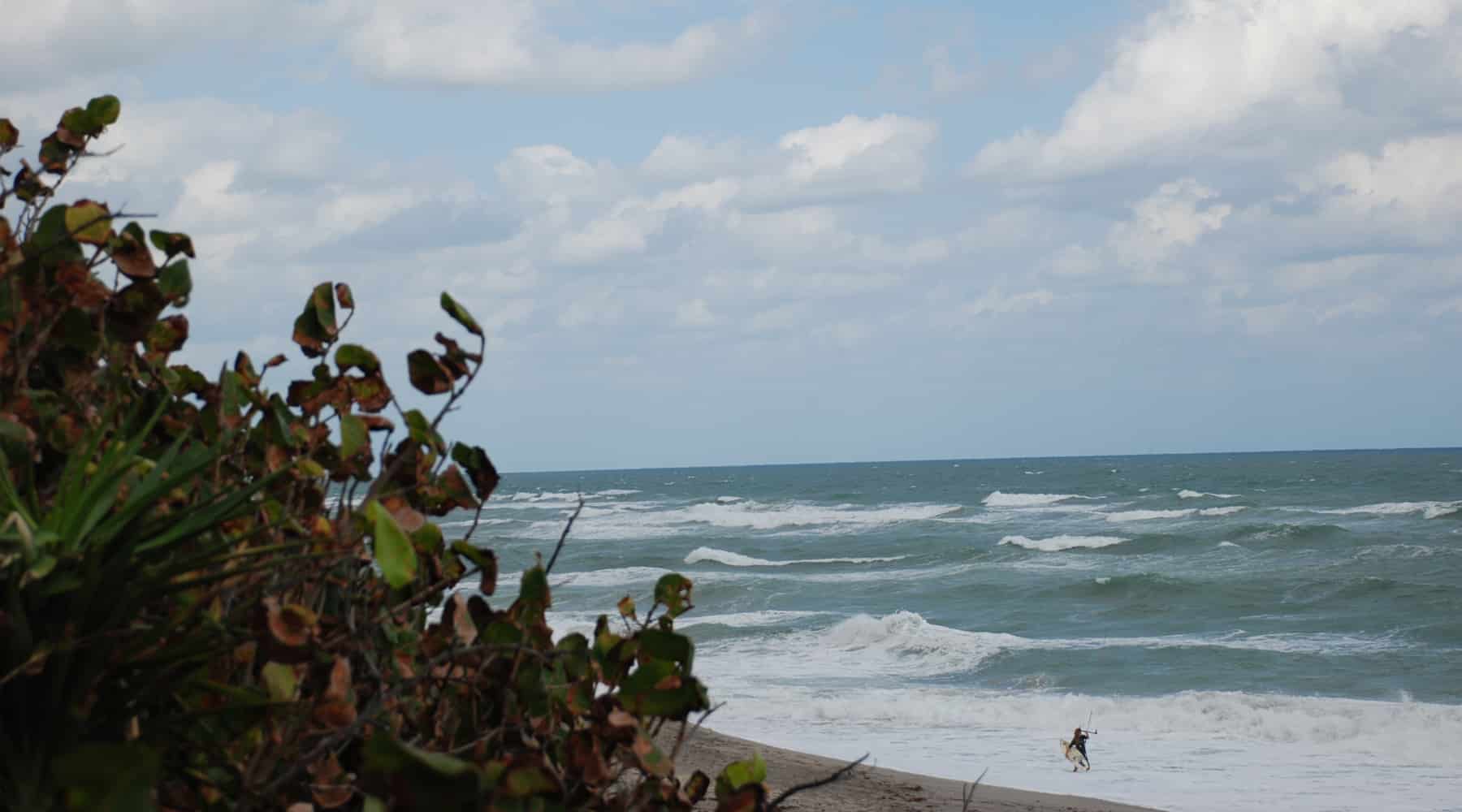 windy beach scene in Tequesta, Florida